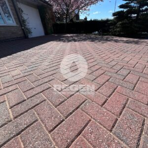 492734139_122174004542328518_6947360851472529799_n