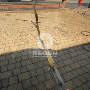 493537446_122179111034328518_6435196497872982856_n