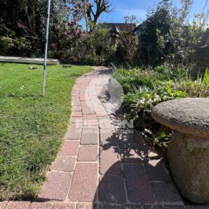 496936441_122176267898328518_2901908829505460182_n