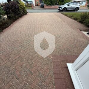 611375041_122206225634328518_2312441418360646390_n