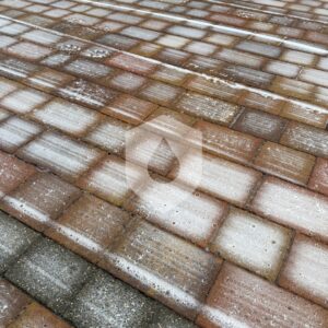 611590369_122206223792328518_6491893577690011672_n