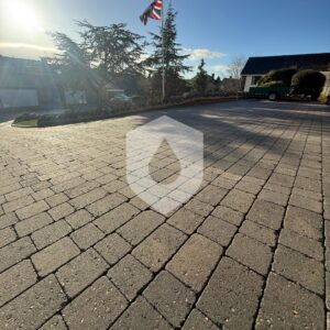 611686017_122206225970328518_170496534447299076_n