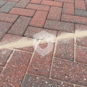 612533430_122206223834328518_6554629379667020426_n