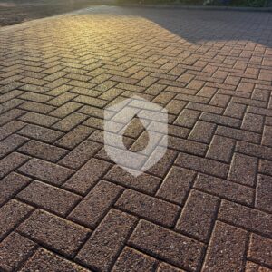 612980907_122206225166328518_3637634924012452976_n